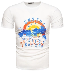 Koszulka męska t-shirt z printem biały Recea