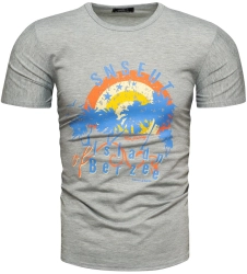 Koszulka męska t-shirt z printem szary Recea