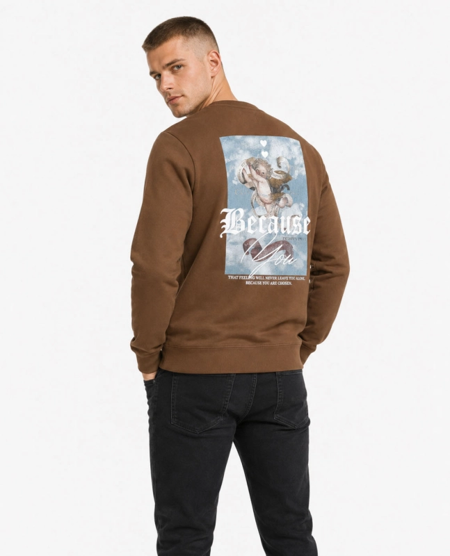 Bluza męska bez kaptura z nadrukiem na plecach brązowa Recea - 3214